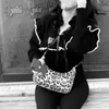 slilizx