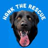 hanktherescue