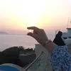 yajis_narif86
