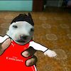 juanitotratra