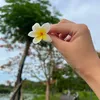 huemongmo_27