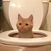 evilfreakyfoldabotno67