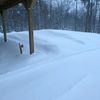 nhmountainman2