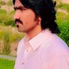 gul.mir.shirani