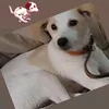 babypuroodio