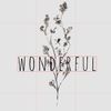 m.wonderful0
