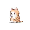 chung___1