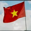 dyqblda7b3un