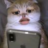 rayatsuraya35