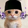 all_hackishere