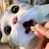 sandra_xxzy2810