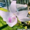 vietkien85