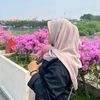 nrl.afifa