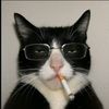 gudang.garammm