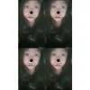 quynhnhu_cutii0