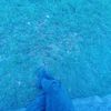 mhmut_33