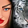 noorshakir99