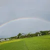 user6990509036108