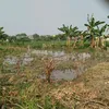 uyyyyeee_123