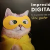 mequetrefe44