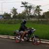 aufagiid_