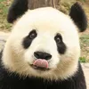 quynguyen5311