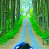 masndondot765