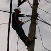 folmansiburian5
