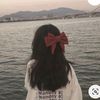 panda.01211
