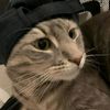 ishaq_701