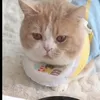 nemezkiy_bidon