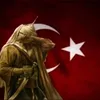 turk_611