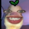 fathann268
