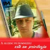 fratelerelu