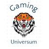 gaming_universum