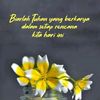 basir2356