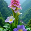🌼Юмор🌼