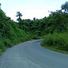 tartunaung007
