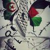 mohamedtadjeddin9