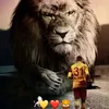 mostafa_1905