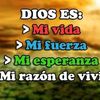 user4809032099546