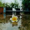 m_n_jerin28