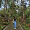 marchee_patandian