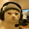 muhammad010517_