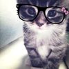 niaa_qiqizz