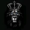 andres_molina_23