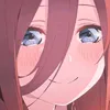 boicodoc