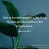 amir.amargadito