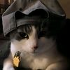 taha_8c.121