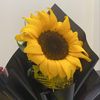 sunflower18400